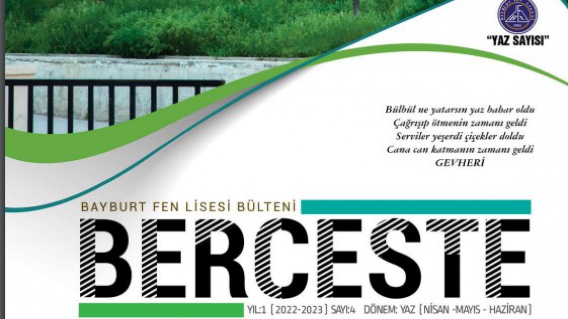 BERCESTE - Yaz Sayısı